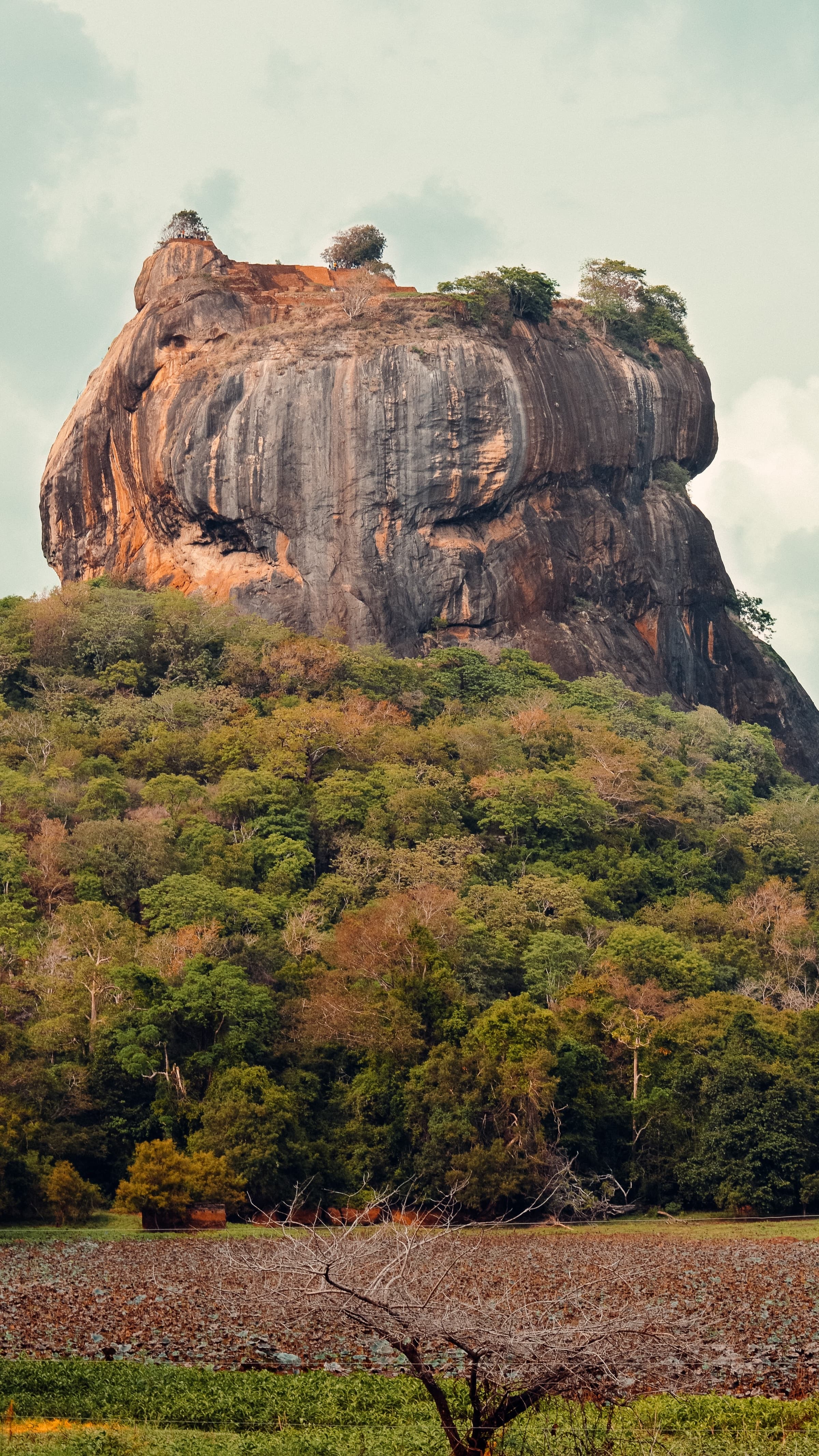 Sigiriya