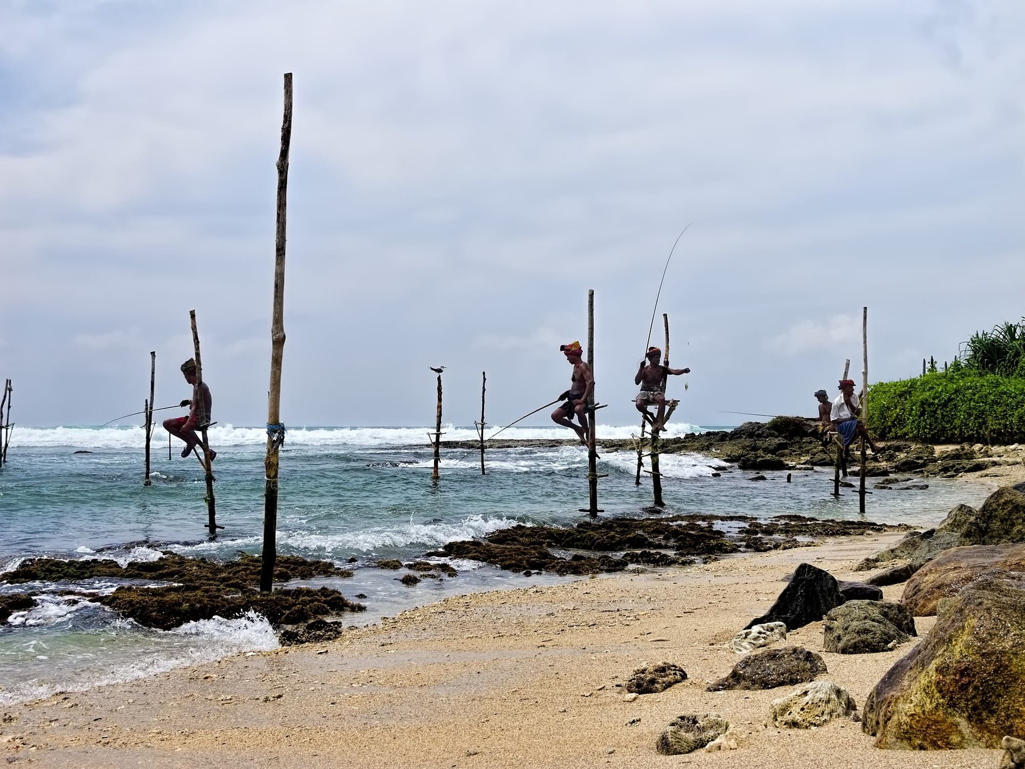 Traditional Stilt Fishing Experience