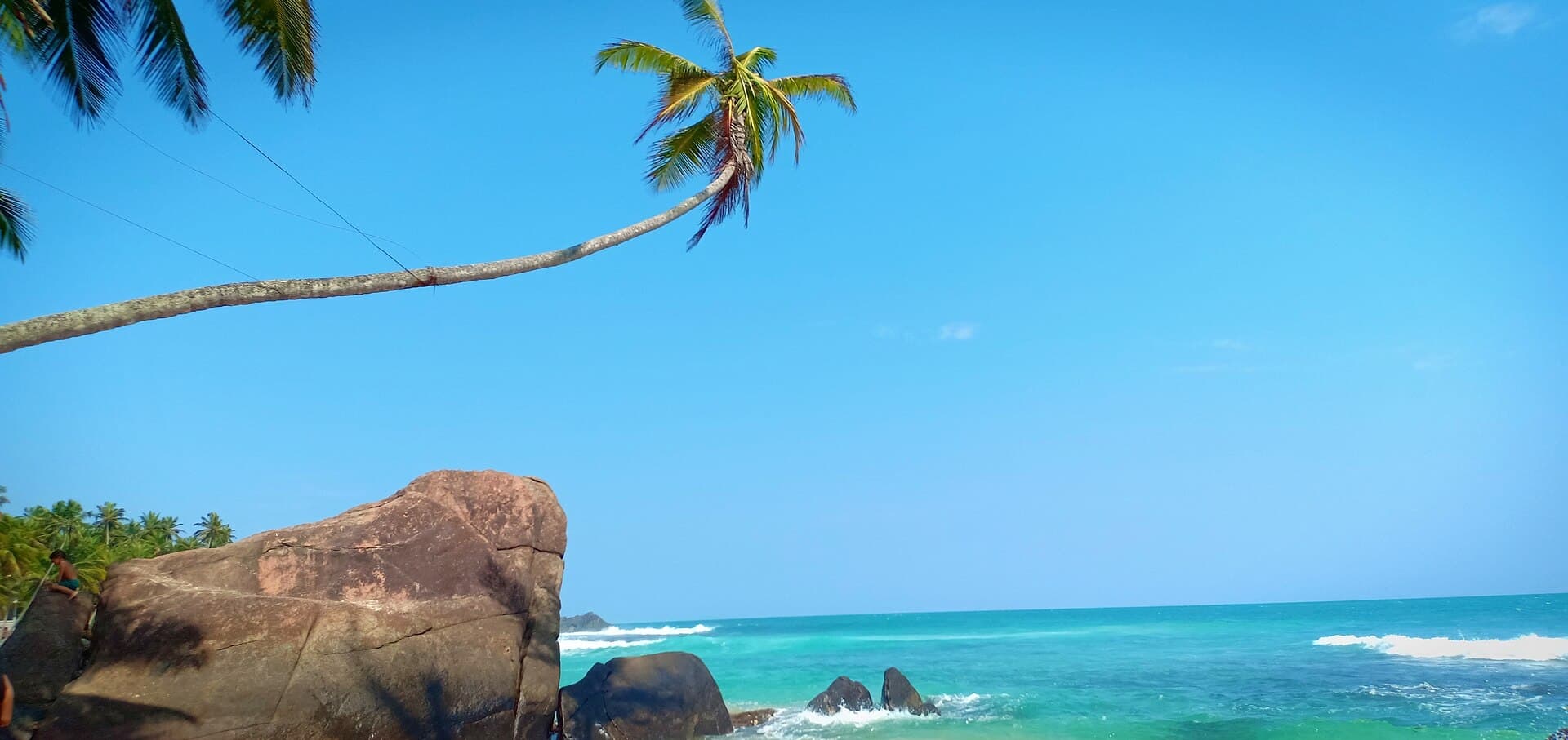 Turquoise water and white surf meeting golden sand beneath a leaning coconut palm on a Sri Lankan beach